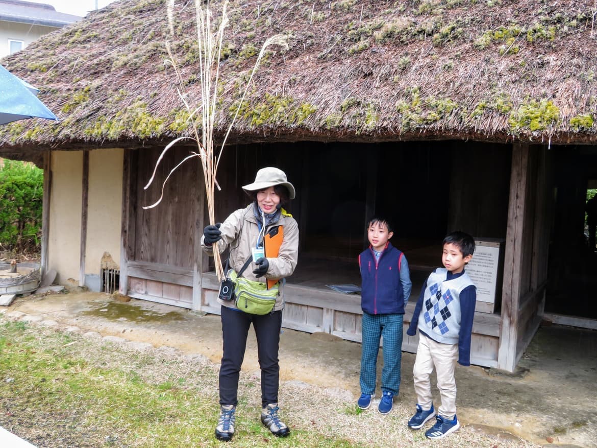 img20190402160105670513.jpg
