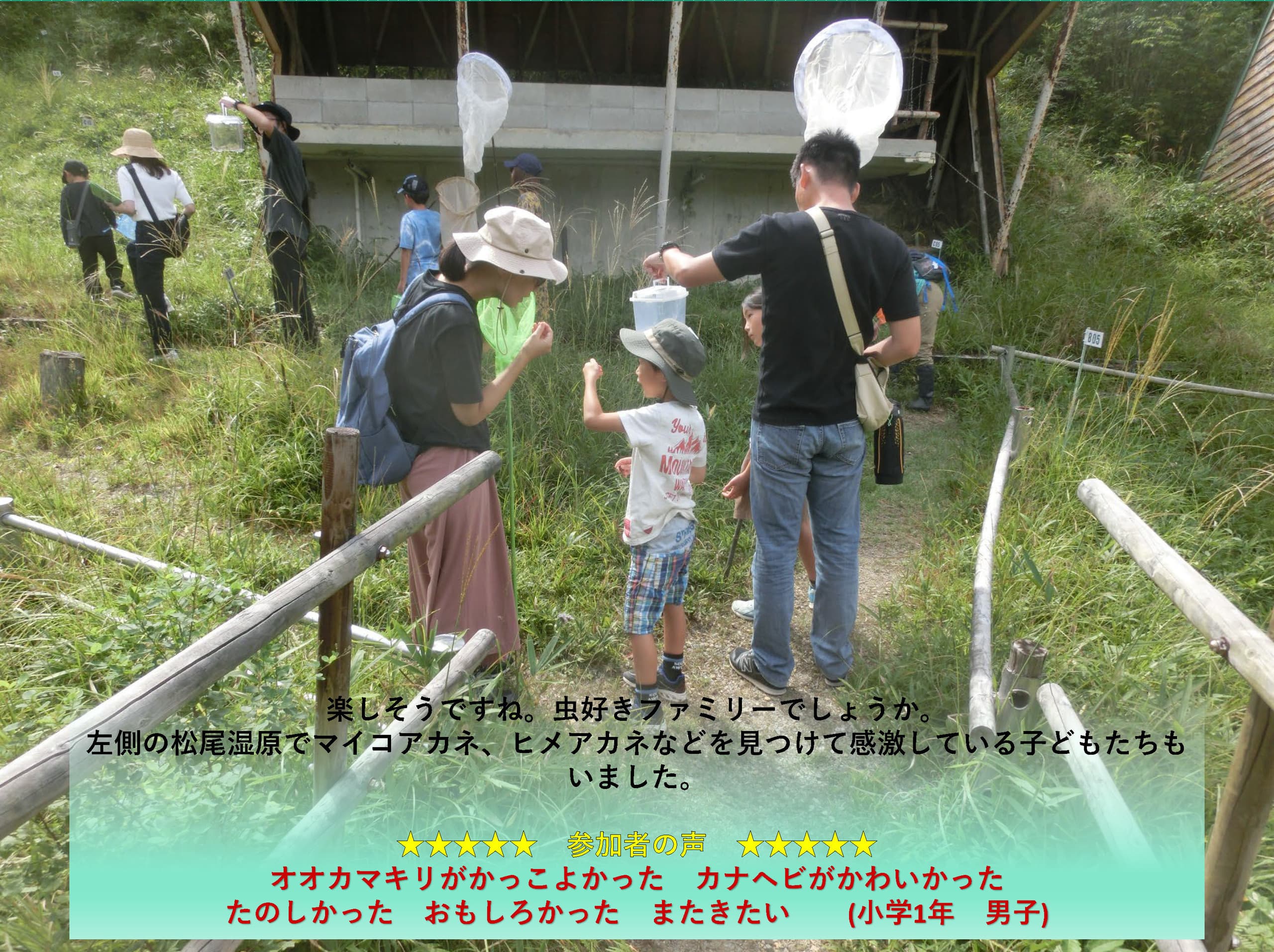img20231122003742257383.jpg