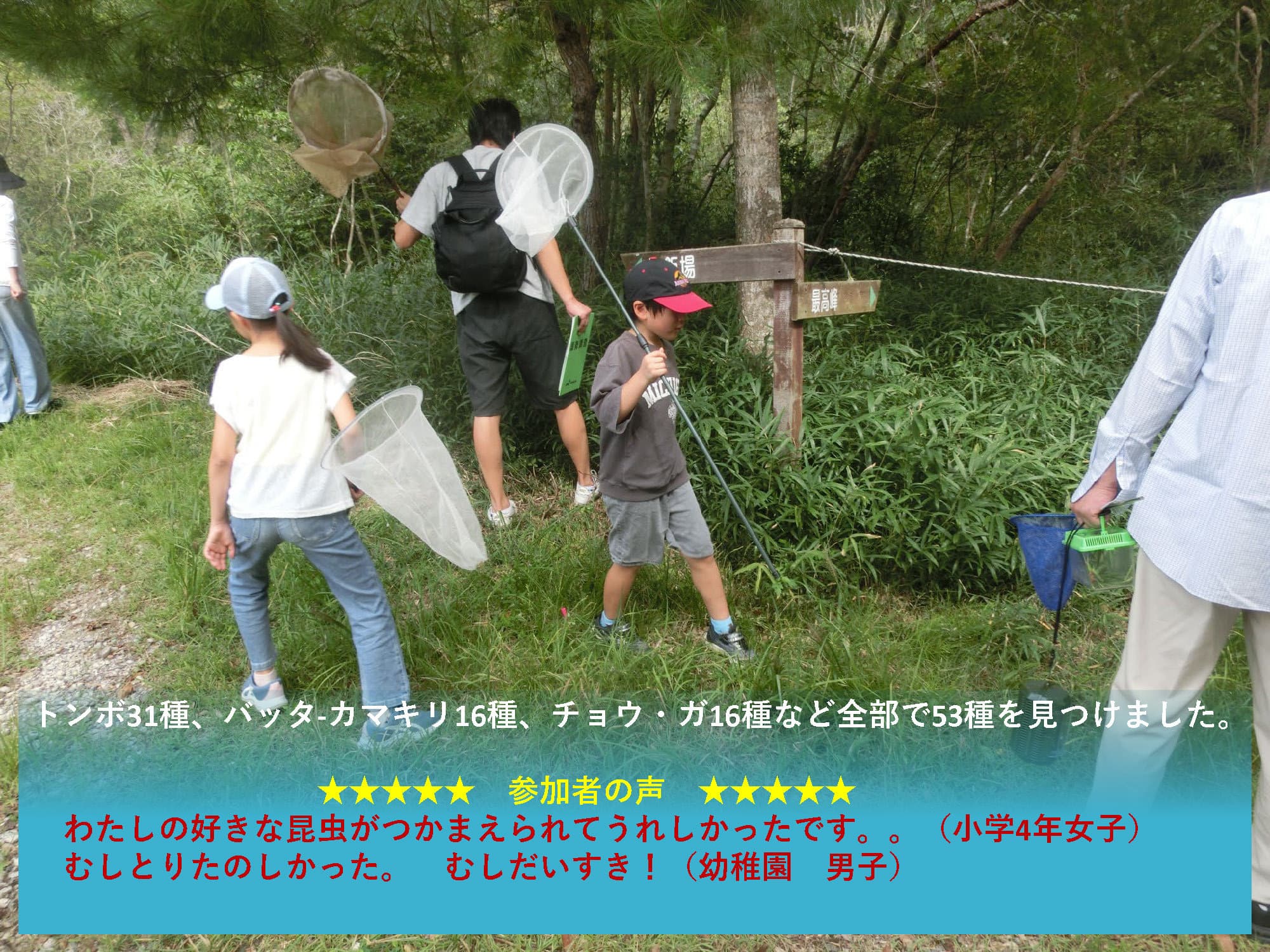 img20231122003741755145.jpg