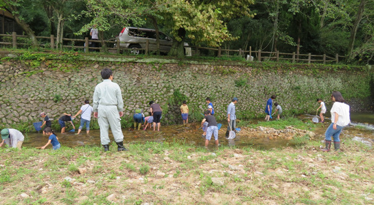 img_2806r.jpg