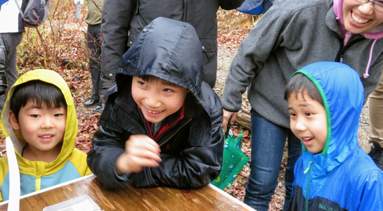 img20190402160105749385.jpg