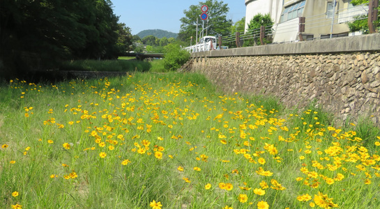 img20190530044225073529.jpg