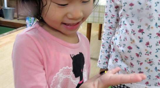img20190619175112125284.jpg