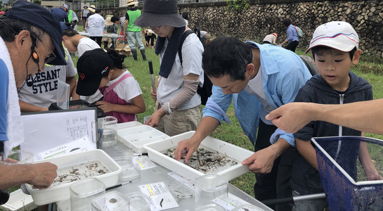 20190720_sakasegawa_03.jpg