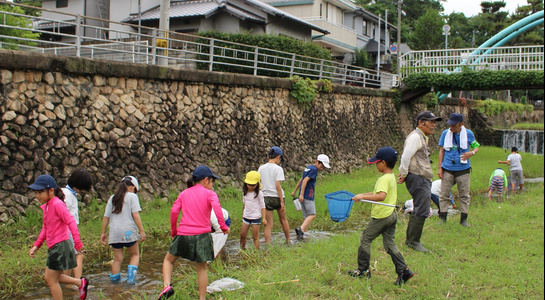 20190720_sakasegawa_02.jpg