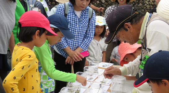 20190720_sakasegawa_01.jpg