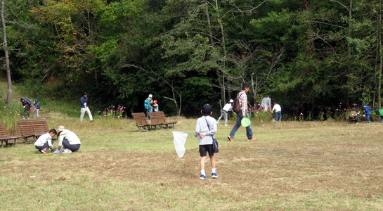 img20181018041022470986.jpg
