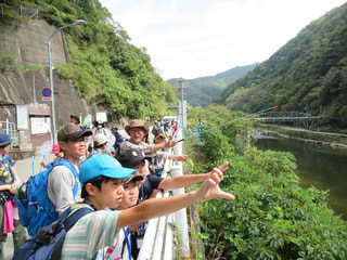 img20191018074532622374.jpg