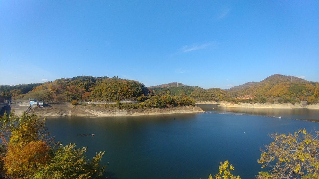 img01167.jpg