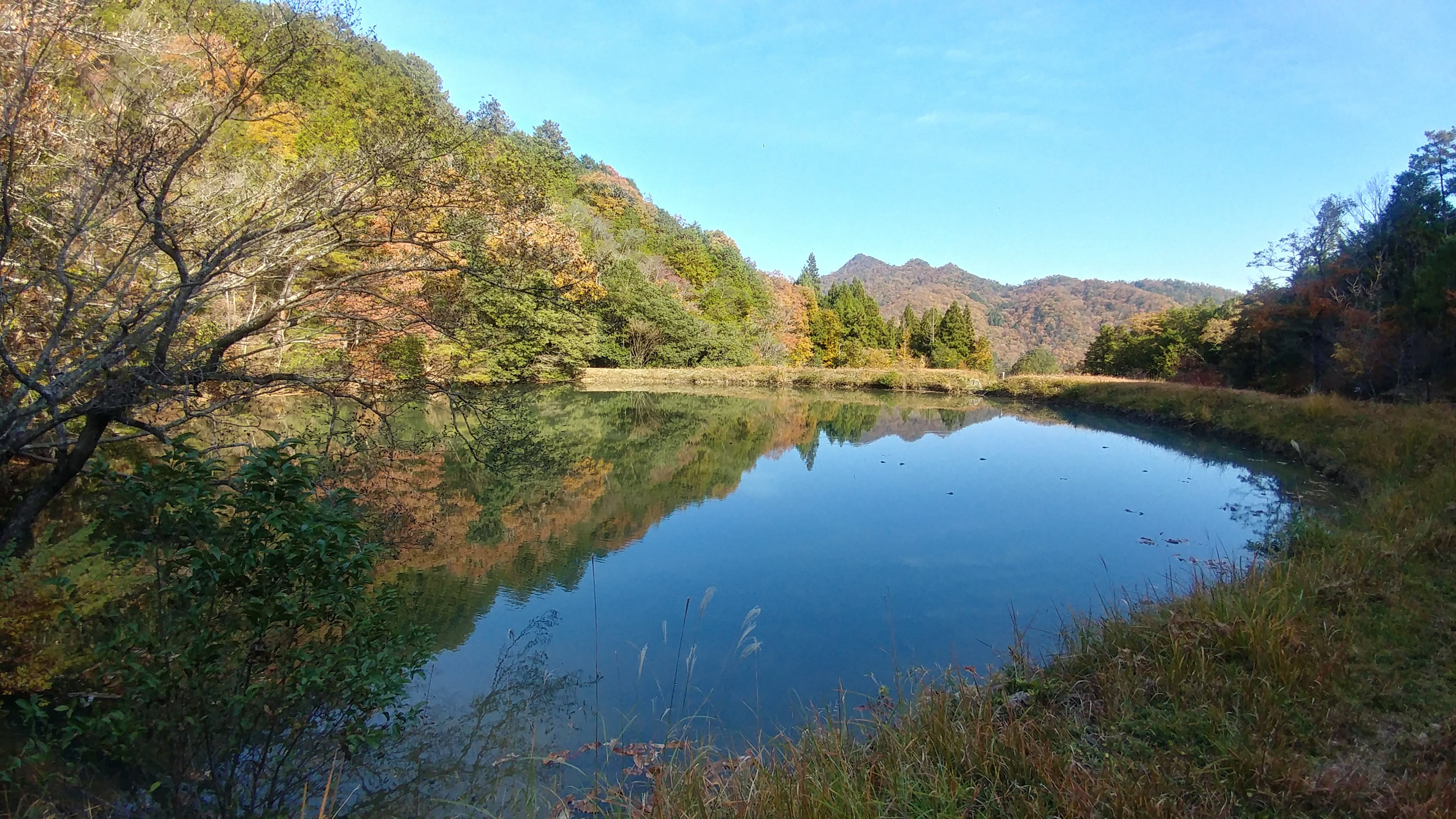 img01201_hdr.jpg