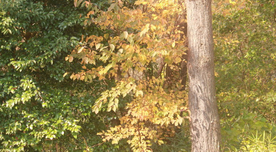 img20171116163727729975.jpg