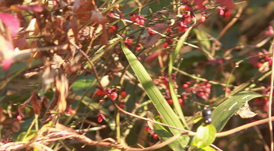 img20180126131826367249.jpg