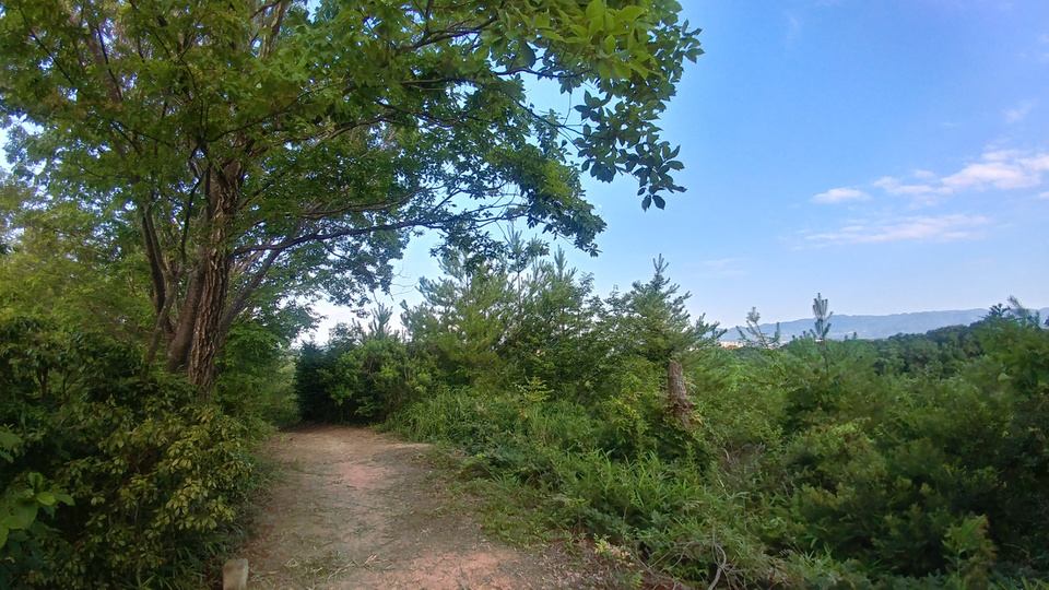 img06721_hdr.jpg