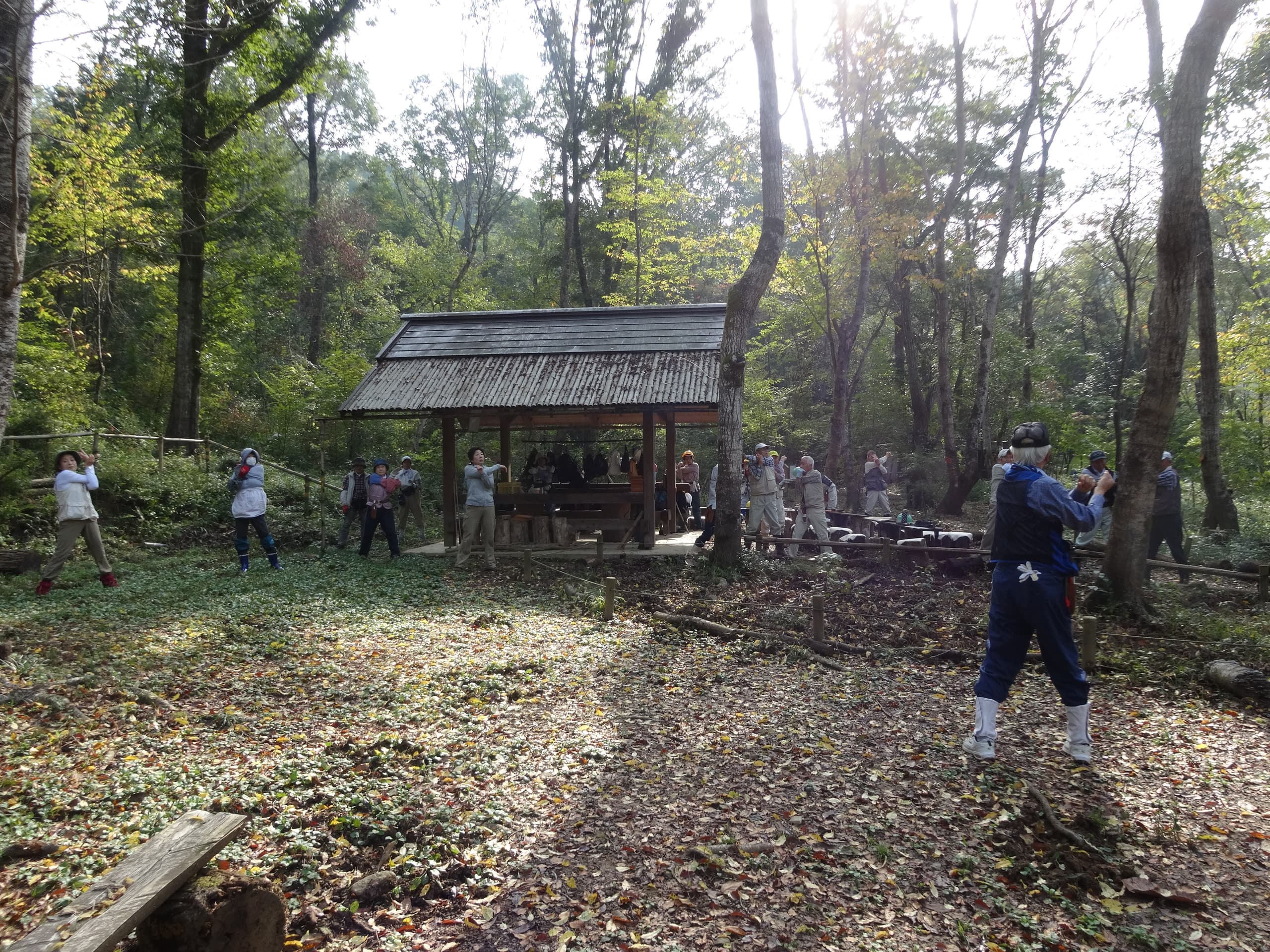 dsc02106a.jpg