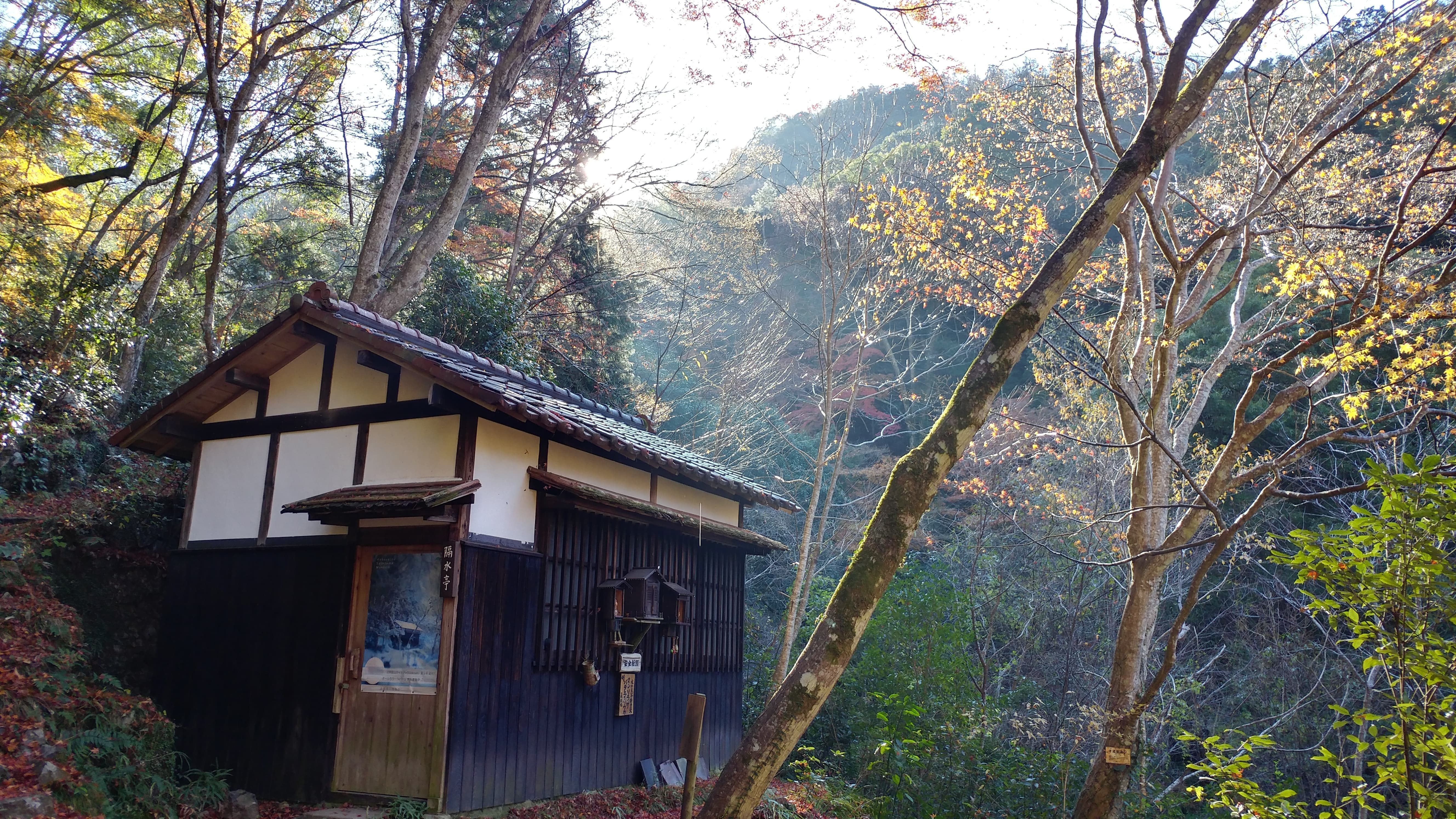 img11730_hdr.jpg